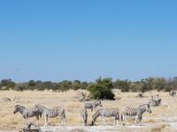 Tage Rundreise Namibia – Die Erlebnistour mit  Kalahari – Fish River-Canyon – Lüderitz – Namib – Swakopmund – Erongo Gebirge – Etosha Nationalpark – Windhoek (1800)