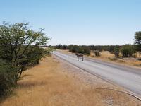 Tage Rundreise Namibia – Die Erlebnistour mit  Kalahari – Fish River-Canyon – Lüderitz – Namib – Swakopmund – Erongo Gebirge – Etosha Nationalpark – Windhoek (1803)