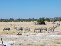 Tage Rundreise Namibia – Die Erlebnistour mit  Kalahari – Fish River-Canyon – Lüderitz – Namib – Swakopmund – Erongo Gebirge – Etosha Nationalpark – Windhoek (1813)