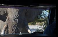 Tage Rundreise Namibia – Die Erlebnistour mit  Kalahari – Fish River-Canyon – Lüderitz – Namib – Swakopmund – Erongo Gebirge – Etosha Nationalpark – Windhoek (1838)