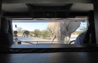 Tage Rundreise Namibia – Die Erlebnistour mit  Kalahari – Fish River-Canyon – Lüderitz – Namib – Swakopmund – Erongo Gebirge – Etosha Nationalpark – Windhoek (1842)