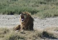 Tage Rundreise Namibia – Die Erlebnistour mit  Kalahari – Fish River-Canyon – Lüderitz – Namib – Swakopmund – Erongo Gebirge – Etosha Nationalpark – Windhoek (1855)