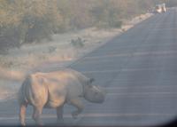Tage Rundreise Namibia – Die Erlebnistour mit  Kalahari – Fish River-Canyon – Lüderitz – Namib – Swakopmund – Erongo Gebirge – Etosha Nationalpark – Windhoek (1867)