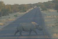 Tage Rundreise Namibia – Die Erlebnistour mit  Kalahari – Fish River-Canyon – Lüderitz – Namib – Swakopmund – Erongo Gebirge – Etosha Nationalpark – Windhoek (1872)