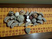 Tage Rundreise Namibia – Die Erlebnistour mit  Kalahari – Fish River-Canyon – Lüderitz – Namib – Swakopmund – Erongo Gebirge – Etosha Nationalpark – Windhoek (1882)