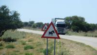 1446 Fahrt nach Windhoeck - Hinweis auf Warzenschweine