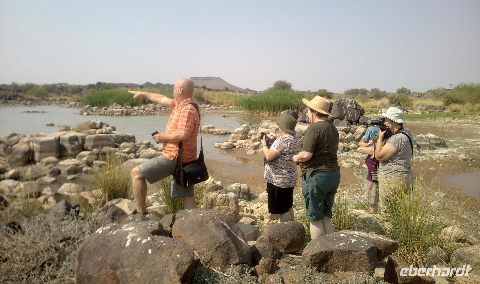 Volker, wieviele Krokodile hast du entdeckt?