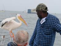 Walfisch Bay Bootsausflug