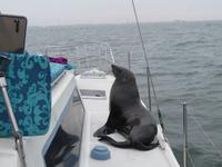 ... ich hab auch Hunger