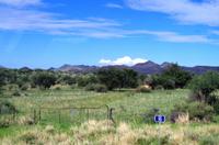 Auf Pad mit Konny - Farmland