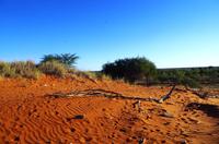 Kalahari Anib Lodge - erste Ausfahrt zum Sundowner
