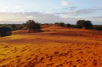 Kalahari Anib Lodge - erste Ausfahrt zum Sundowner