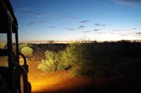 Kalahari Anib Lodge - geordneter Rückzug zur Lodge