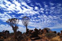 Auf Pad mit Konny - Farm Garas