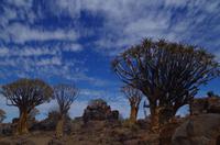 Farm Garas - einfach schön