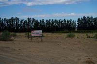 Auf Pad mit Konny - Frühschoppen?