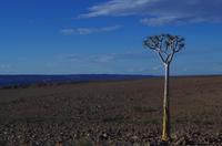 Am Fish River Canyon