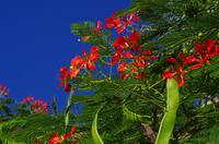 Canyon Lodge am Fish River - Oase