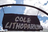 Alte Kalköfen Lodge - Frikkis Lithops