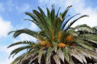 Spaziergang in Lüderitz