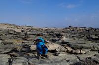 Lüderitz - Buchtenfahrt