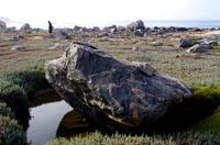Lüderitz - Buchtenfahrt