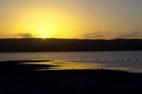 Lüderitz - Buchtenfahrt