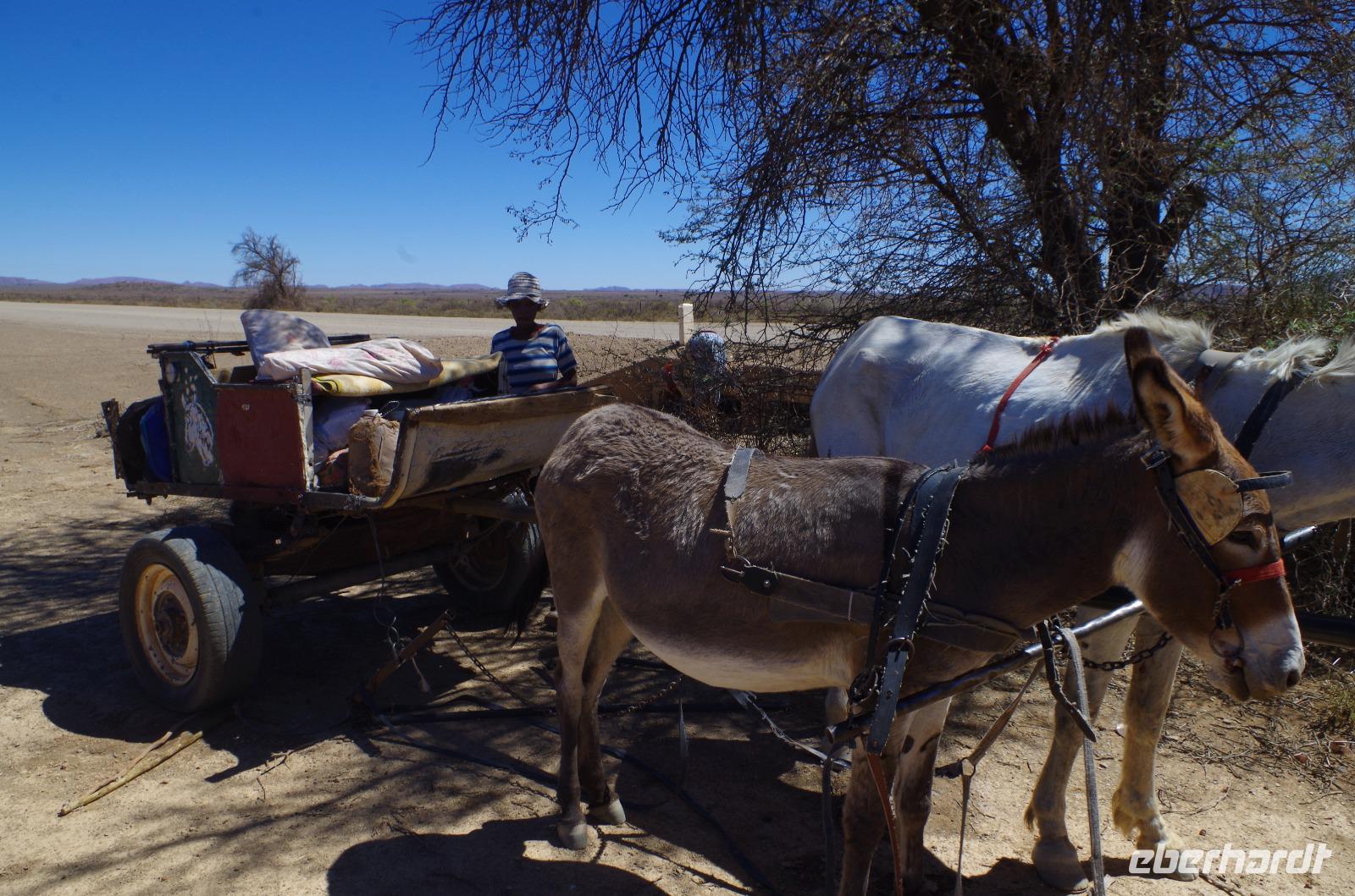 Unterwegs - Nama Familie