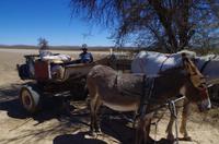 Unterwegs - Nama Familie