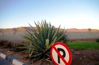 Auf Pad mit Konny ins Sossusvlei