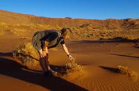 Faszinierende Namib Wüste - mit Konny auf Entdeckung