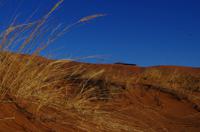 Faszinierende Namib Wüste