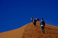 Faszinierende Namib Wüste - Düne 45