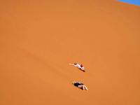 Faszinierende Namib Wüste - der größte Sandkasten der Welt