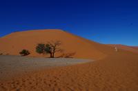 Faszinierende Namib Wüste - Düne 45