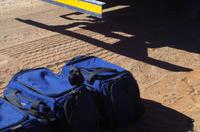 Faszinierende Namib Wüste - Glanzstar als Zaungast