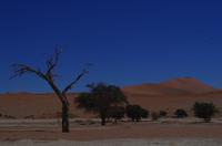 Faszinierende Namib Wüste - Lehmsenke Sossusvlei