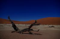 Faszinierende Namib Wüste - Dead Vlei