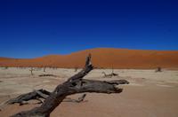 Faszinierende Namib Wüste - Dead Vlei