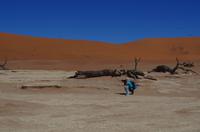 Faszinierende Namib Wüste - Dead Vlei