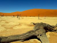 Faszinierende Namib Wüste - Dead Vlei