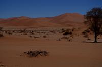 Faszinierende Namib Wüste