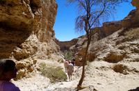 Faszinierende Namib Wüste - Sesriem Canyon