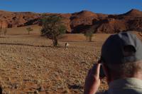 Namib Desert Lodge - Sundowner Fahrt mit Oryx