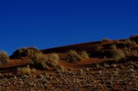 Namib Desert Lodge - Sundowner Fahrt 
