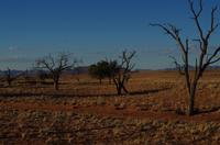 Namib Desert Lodge - Sundowner Fahrt 