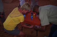 Wüstenmaus mit Biss - Nachsorge