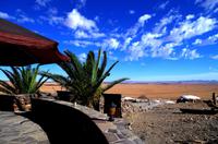 Farm Rostock Ritz - Zu Gast bei Kuecki