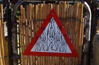 Farm Rostock Ritz - Erdmännchen haben Ausgang