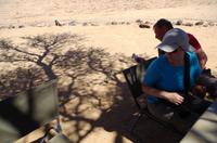 Wasserstelle Hotsas - Besuch der Erdhörnchen